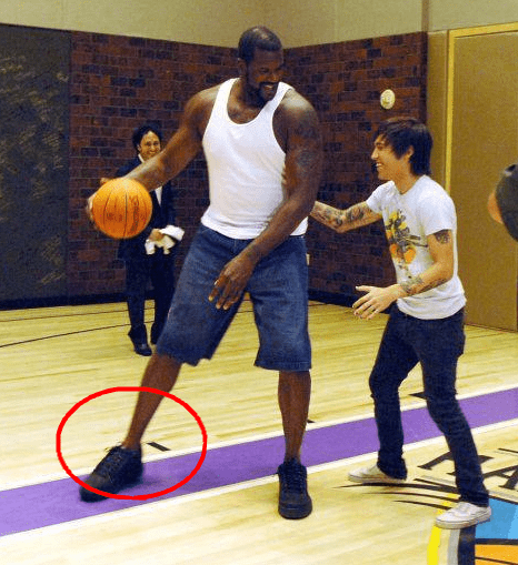 员视线的利 员视线的利